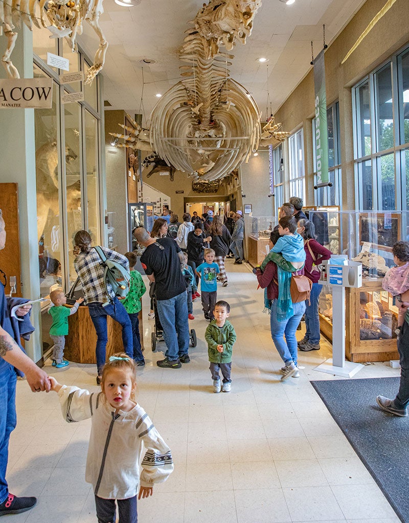 More Than 3,000 Attend 2023 Dino Day Event Sierra College